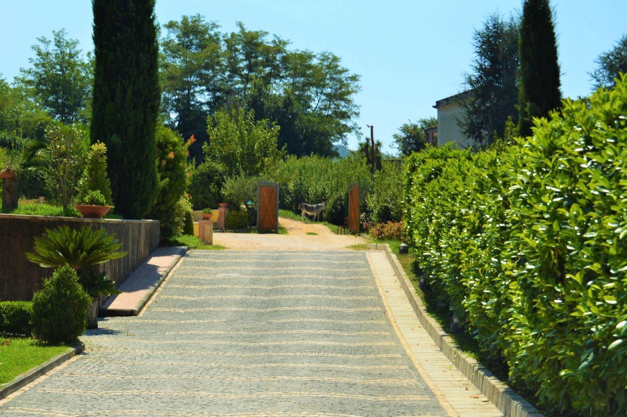 Agriturismo San Martino Pozzuoli Eksteriør bilde